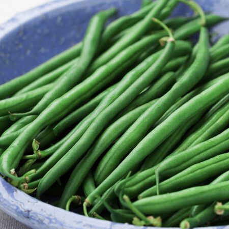 Bronco, Bean Seeds - Packet (1 oz.) image number null